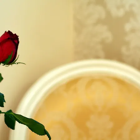 Banica Apartments&rooms 3* Spalato