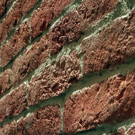 Affittacamere Banica Apartments&rooms Spalato